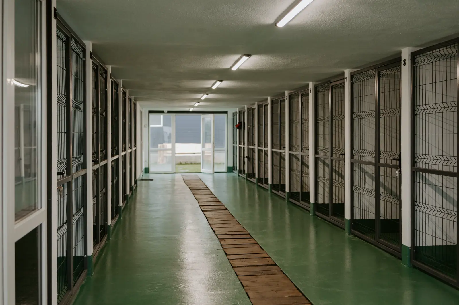 Hotel pentru animale